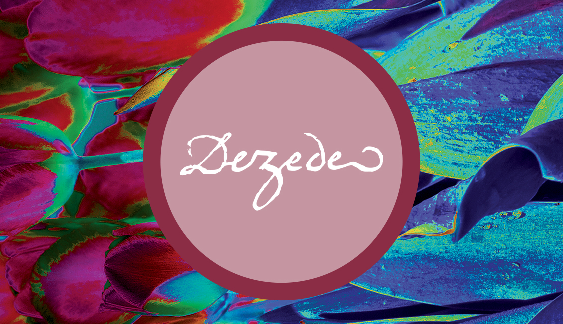 web-page-histoire-dezede